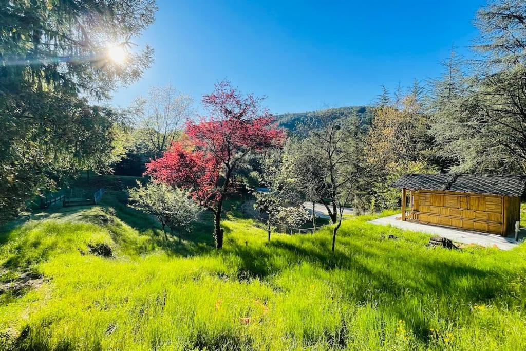 Gite Des 3 Vallees - Le Soleil Des Cevennes Apartment Saint-Jean-du-Gard Bagian luar foto