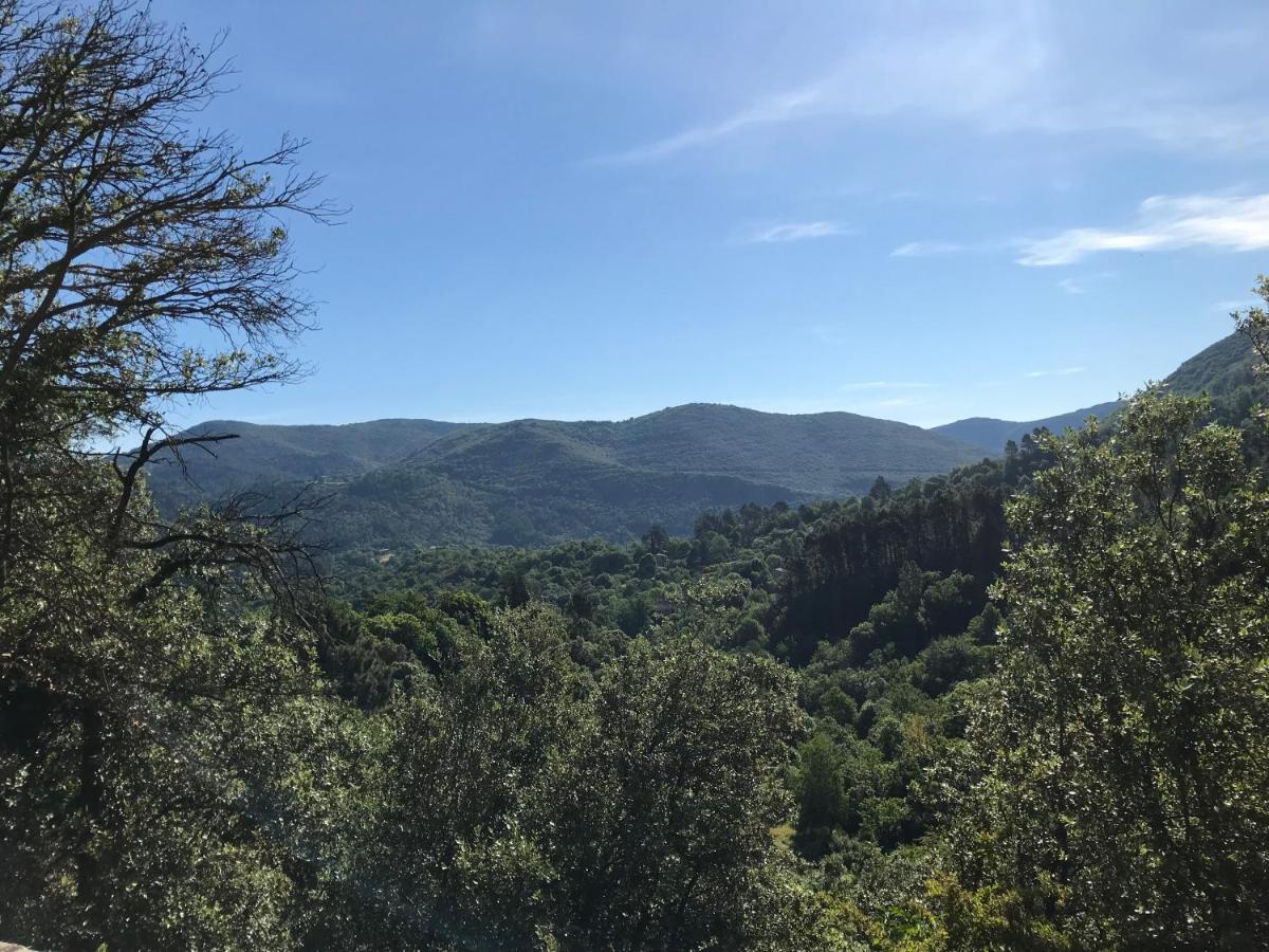 Gite Des 3 Vallees - Le Soleil Des Cevennes Apartment Saint-Jean-du-Gard Bagian luar foto