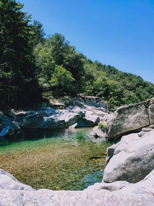 Gite Des 3 Vallees - Le Soleil Des Cevennes Apartment Saint-Jean-du-Gard Bagian luar foto