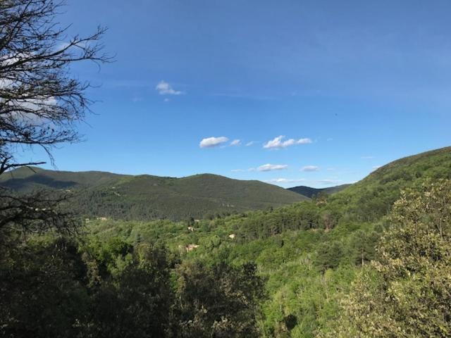 Gite Des 3 Vallees - Le Soleil Des Cevennes Apartment Saint-Jean-du-Gard Bagian luar foto